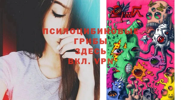 дмт Алексеевка