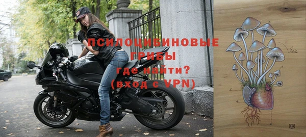 a pvp Алексин